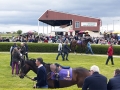 wexford-racecourse-dayout