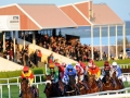 wexford-racecourse-jockeys