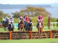 wexford-racecourse-racing