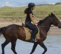 donegal equestrian centre