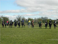 pelletstown riding centre