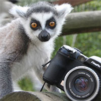 days out in belfast - belfast zoo