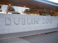 dublin zoo