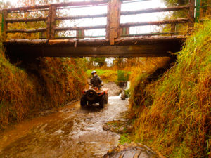 carrick quads biking ireland