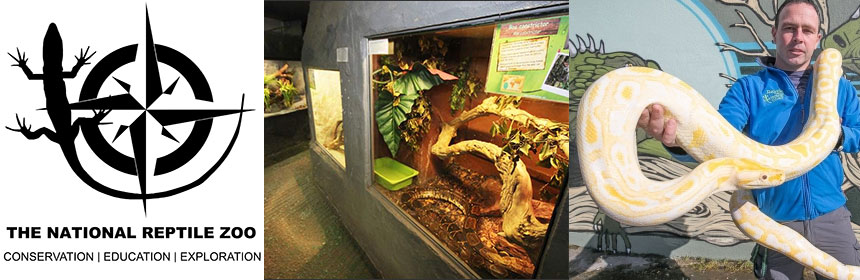 the-national-reptile-zoo-kilkenny - DayOut.ie