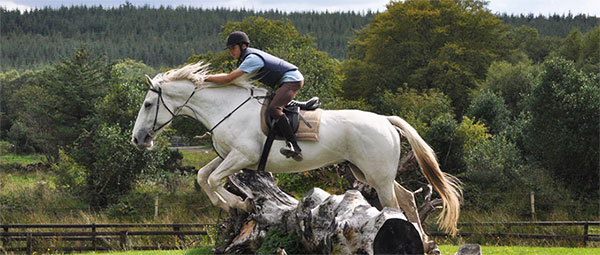 horse-riding-holidays-ireland-slieve aughty riding centre