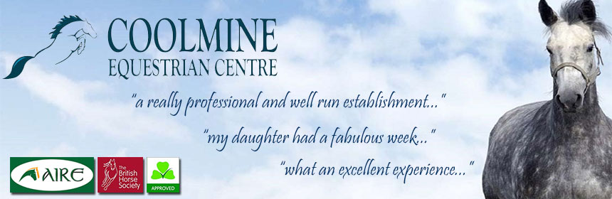 Coolmine Equestrian Centre - Horse Riding in Dublin