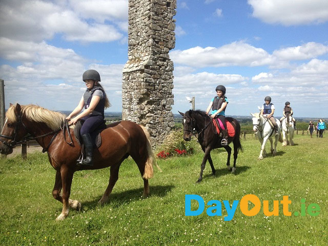 Coolmine Equestrian Centre - Horse Riding in Dublin