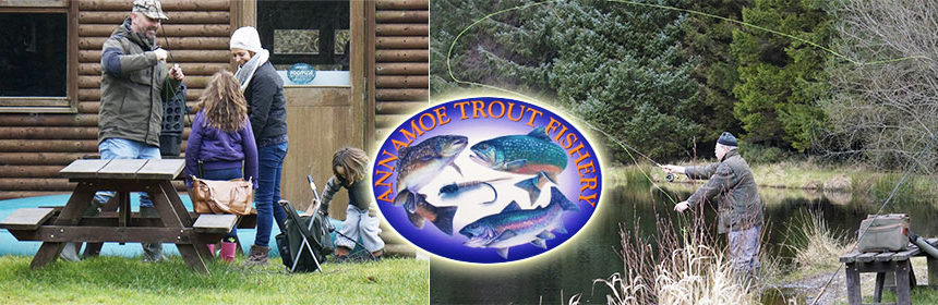 annamoe trout fishery