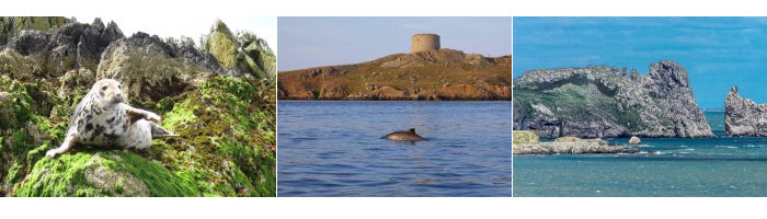 dublin bay cruises