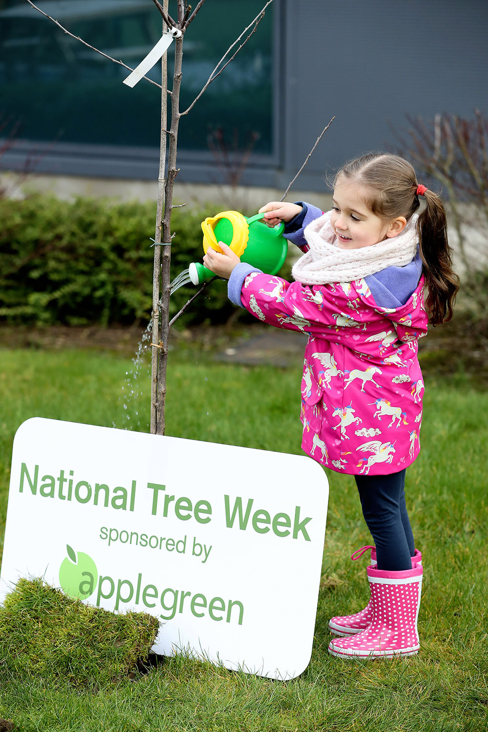 national tree week