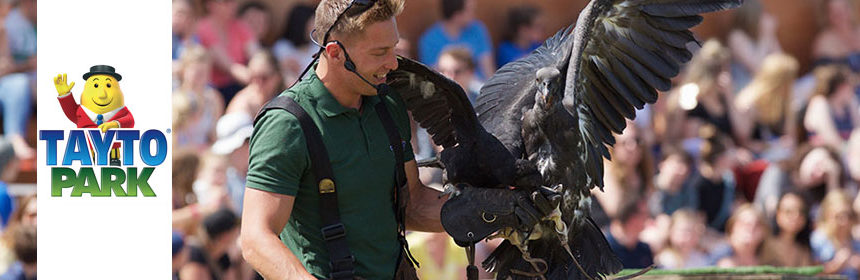 tayto park raptors