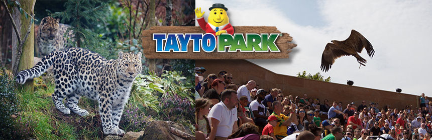 tayto park love your zoo