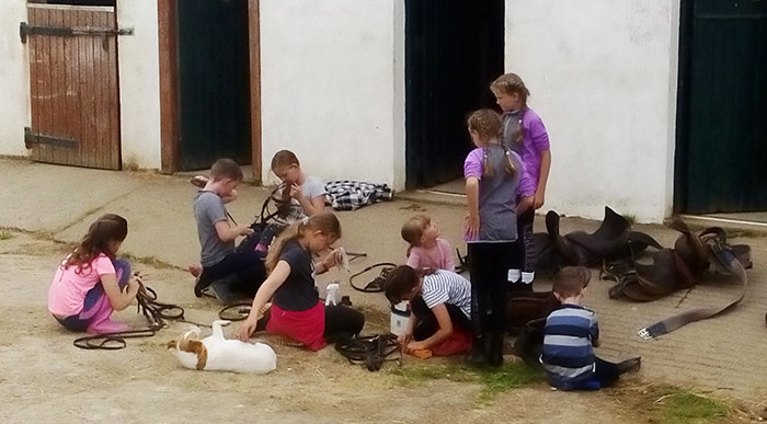 Tipperary Pony Camps