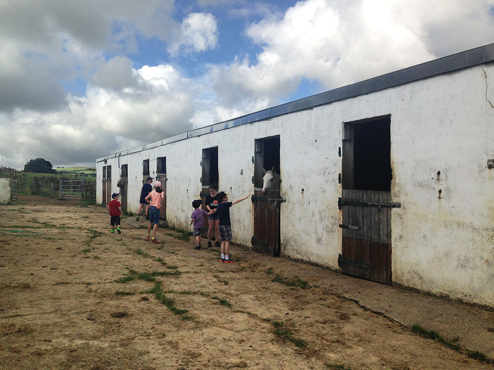 Tipperary-Mountain-Trekking Centre Outside Stables