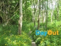 castlecomer-discovery-park-walking-trails
