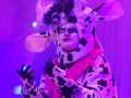 The-Lark-Panto-Review-2025-Moo-the-Cow