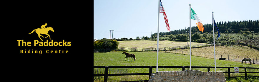 the paddocks riding centre