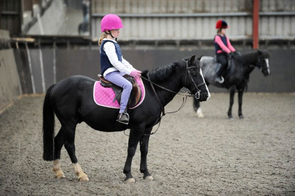 festina lente equestrian centre