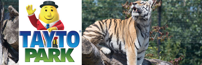 Tayto Park celebrates International Tiger Day