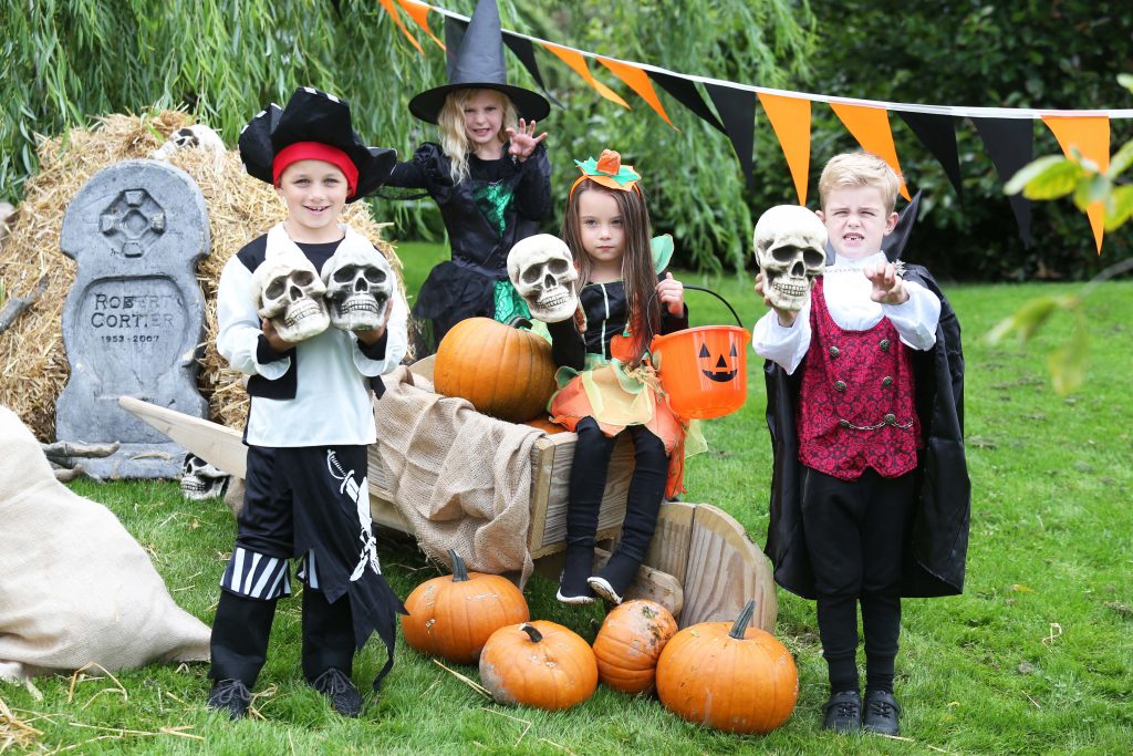 The Wicked Adventures at Tayto Park