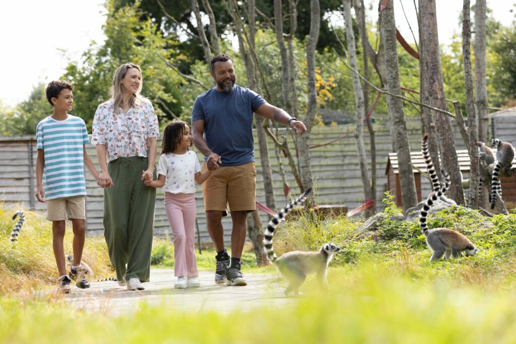 Lemur Woods Emerald Park