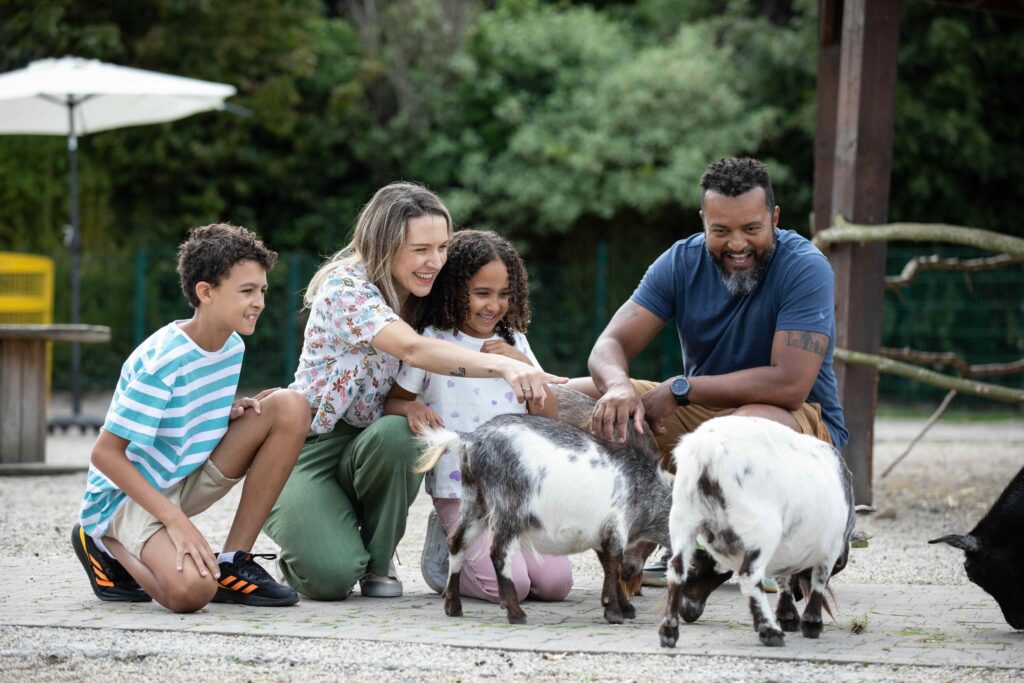 The Petting Zoo Emerald Park